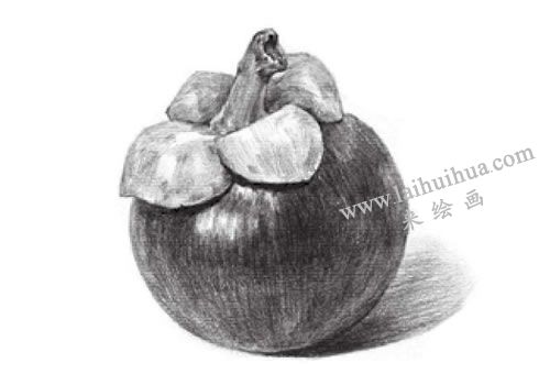 山竹素描畫法步驟05