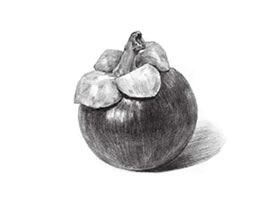 山竹素描畫法