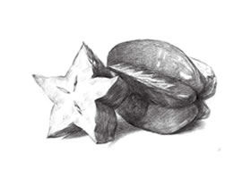 陽桃素描畫法
