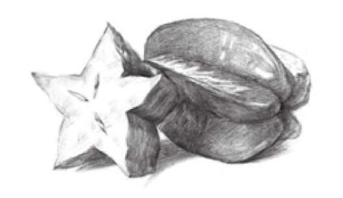 陽桃素描畫法步驟03