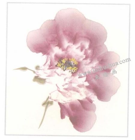 粉紅牡丹花側(cè)面寫意畫法步驟05