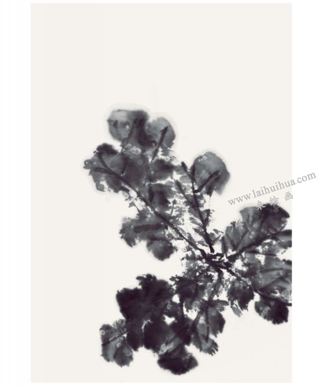 郭書仁《清水出芙蓉》畫法步驟02