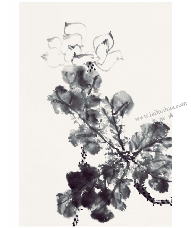 郭書仁《清水出芙蓉》畫法步驟04