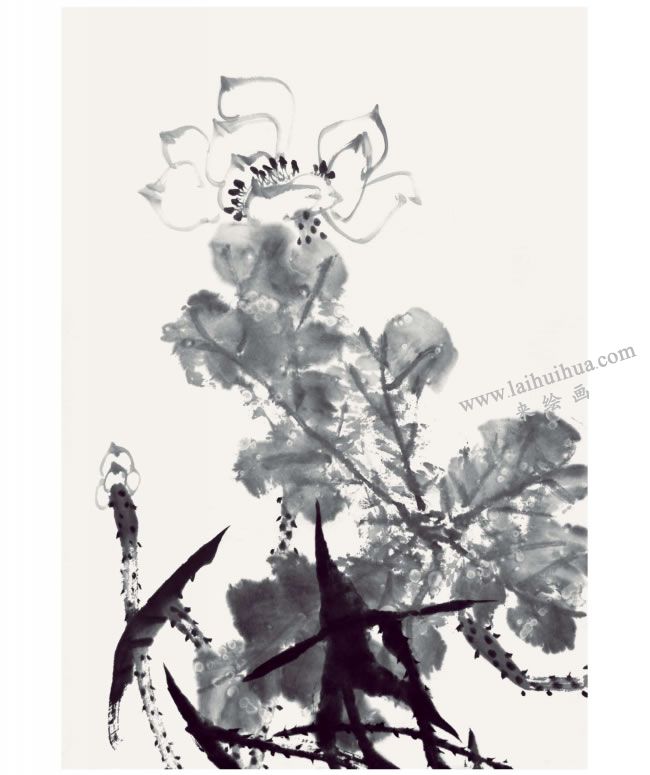 郭書仁《清水出芙蓉》畫法步驟06