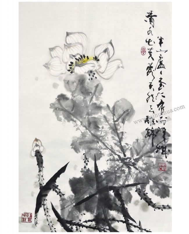 郭書仁《清水出芙蓉》畫法步驟09