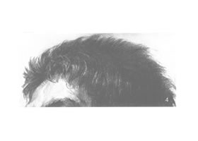 男性頭發(fā)的素描畫(huà)法