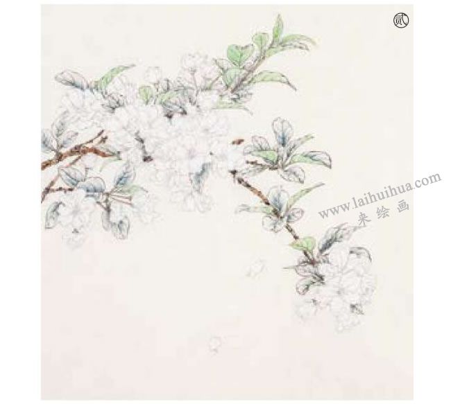 工筆海棠花畫法步驟02