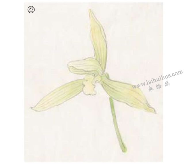 蘭花工筆畫(huà)法步驟03