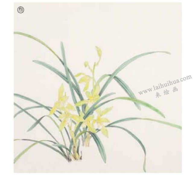 蘭花工筆畫法步驟03