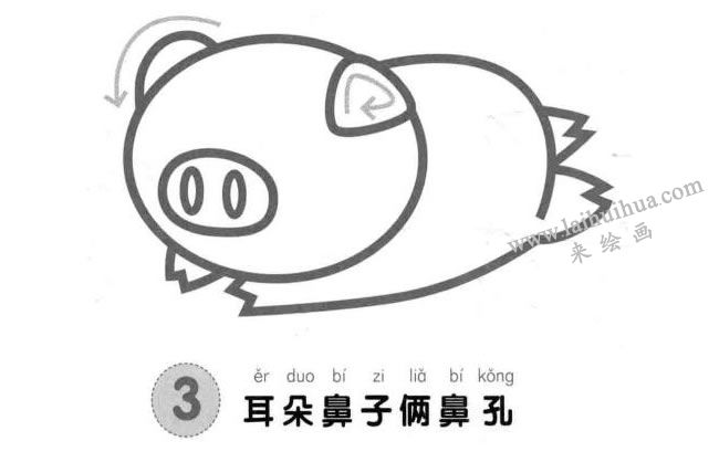 小豬兒童畫法步驟圖示03