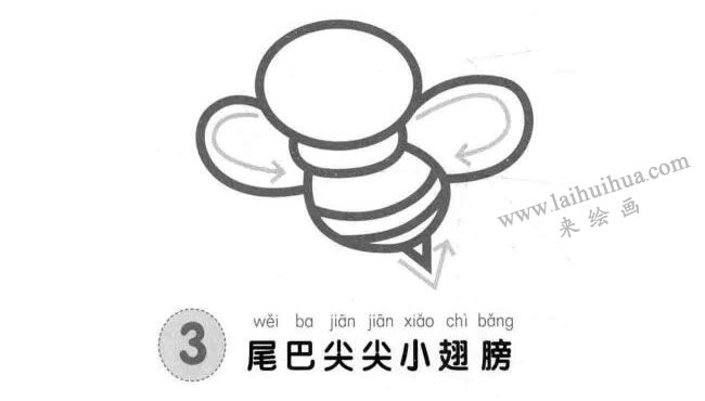 蜜蜂兒童畫法步驟圖示03