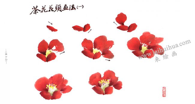茶花花頭的畫法01