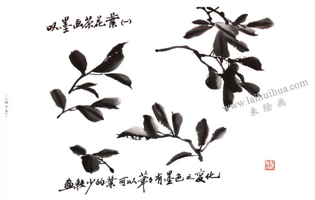茶花葉的畫法01