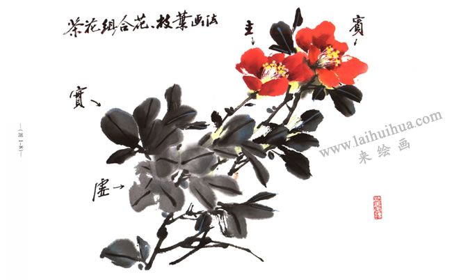 全枝茶花