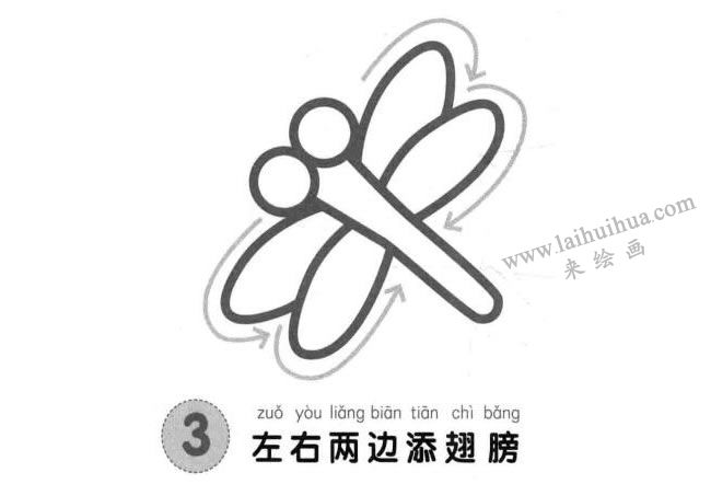 蜻蜓兒童畫法步驟圖03