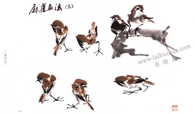 麻雀的寫意畫法03