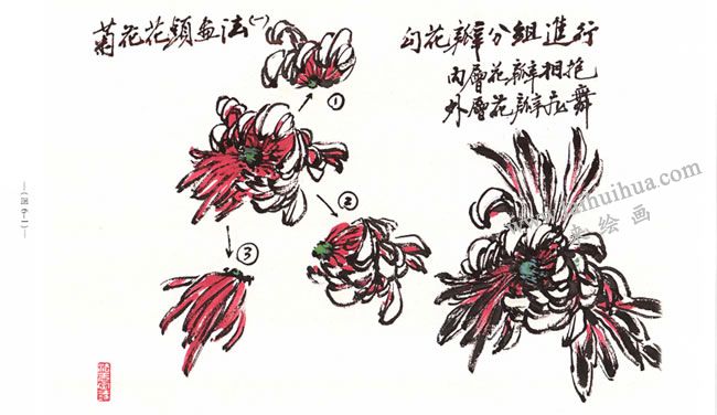 菊花花頭的寫意畫法