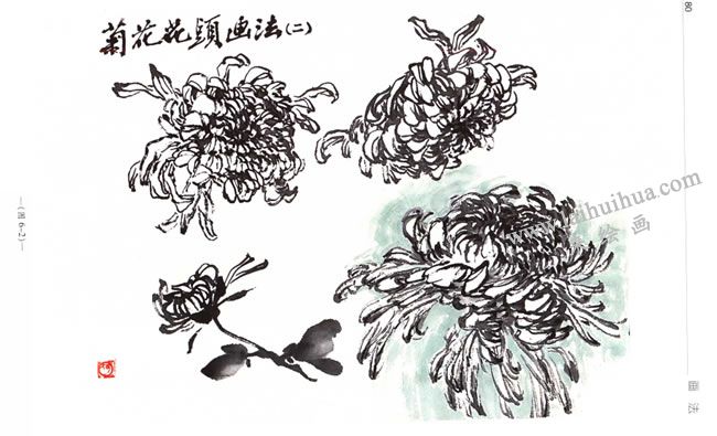 菊花花頭的寫意畫法02