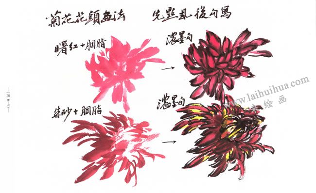 菊花花頭的畫法02