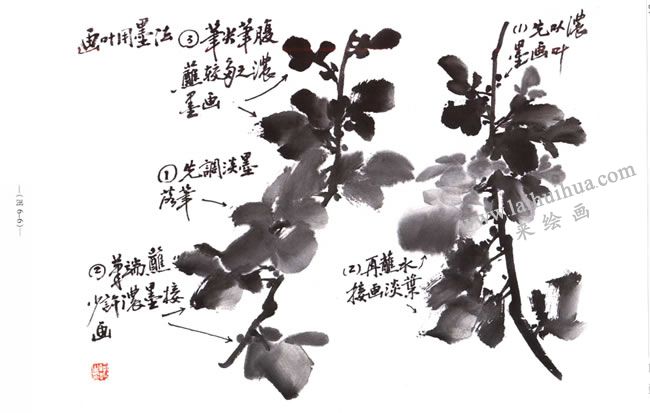 菊花花葉的用墨方法
