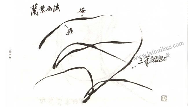 蘭葉的畫(huà)法