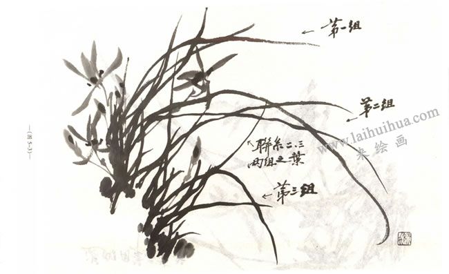 蘭花的畫(huà)法01