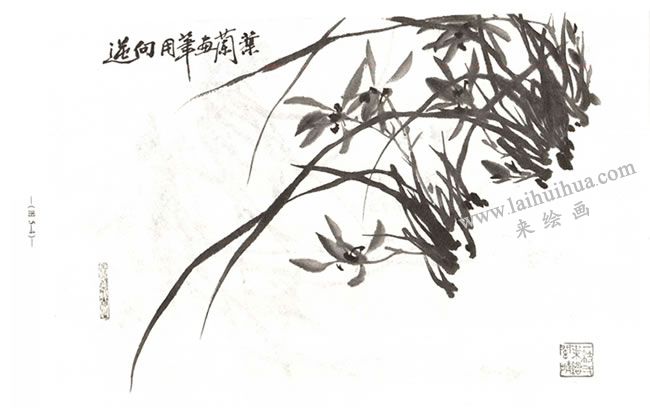 逆向用筆畫(huà)蘭葉