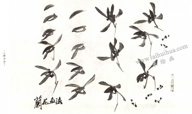 蘭花的畫(huà)法02