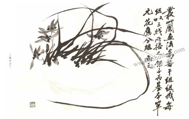 蘭花的畫(huà)法04