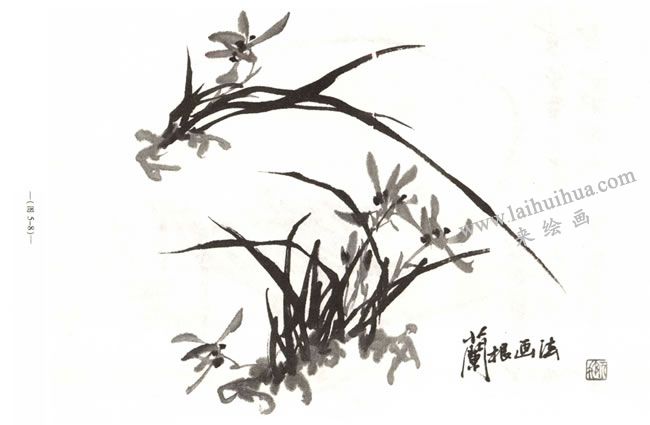 蘭花的畫(huà)法05