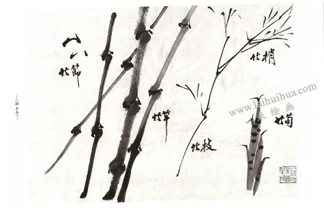 墨竹的寫意畫法03