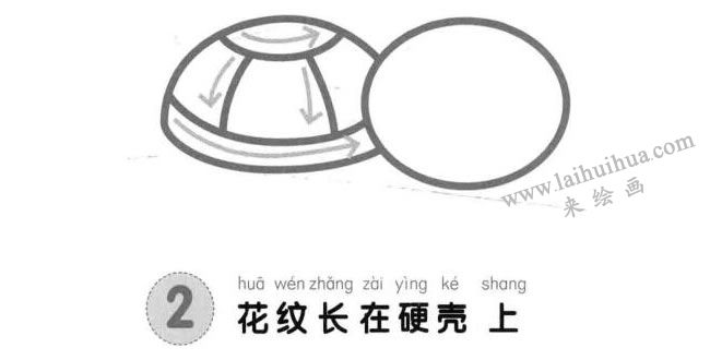 烏龜兒童畫法步驟圖解02