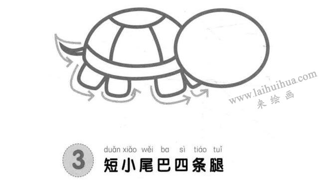 烏龜兒童畫法步驟圖解03