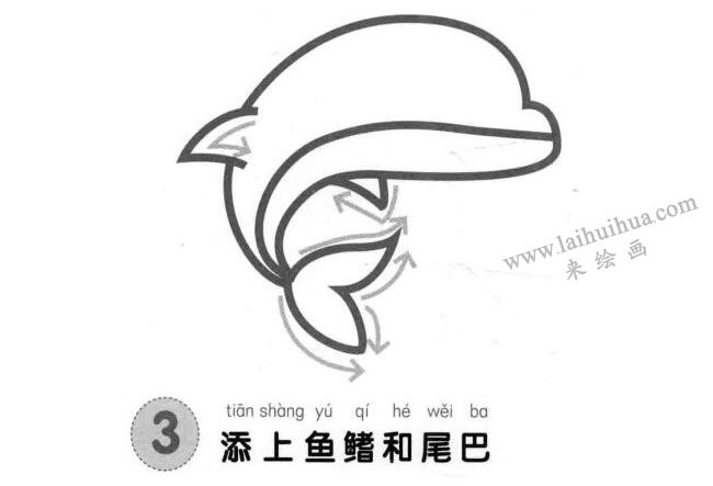海豚兒童畫(huà)法步驟圖解03