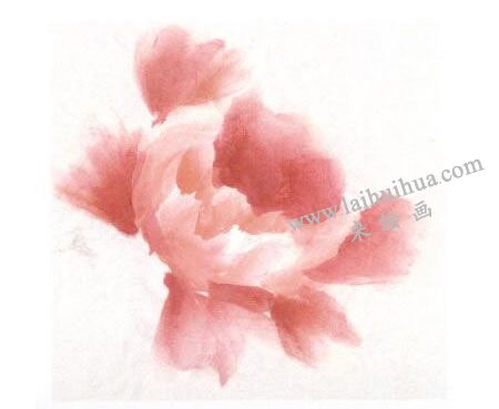粉色牡丹花畫法步驟圖示02
