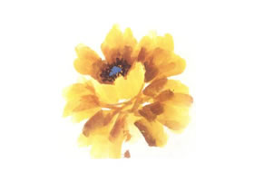 黃色牡丹花畫法