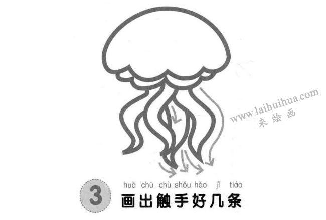 水母兒童畫法步驟圖03