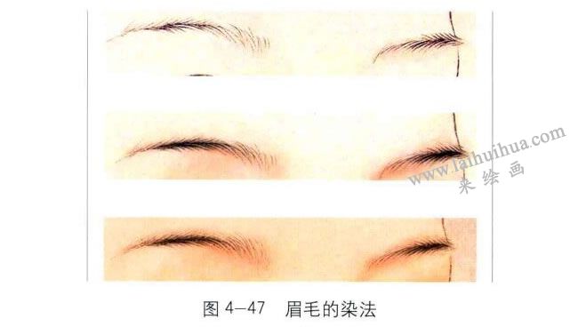 眉毛的染法，工筆人物畫