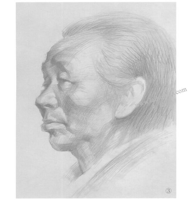 素描老太太繪畫步驟圖解03