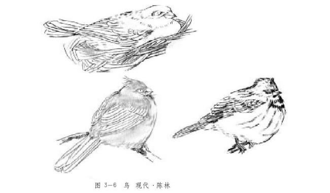 工筆花鳥畫的寫生方法