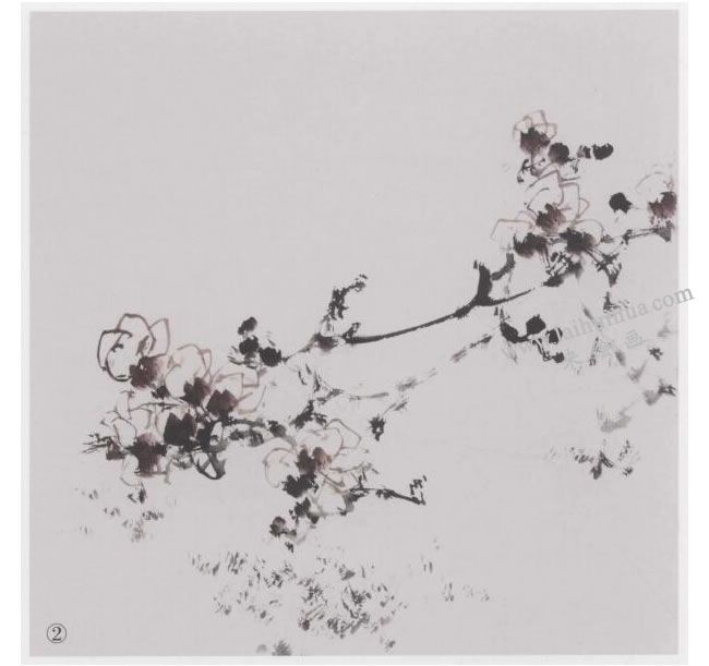 中國(guó)畫(huà)《晴空展翅》畫(huà)法步驟02
