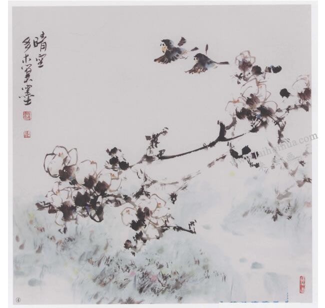 中國(guó)畫(huà)《晴空展翅》畫(huà)法步驟04