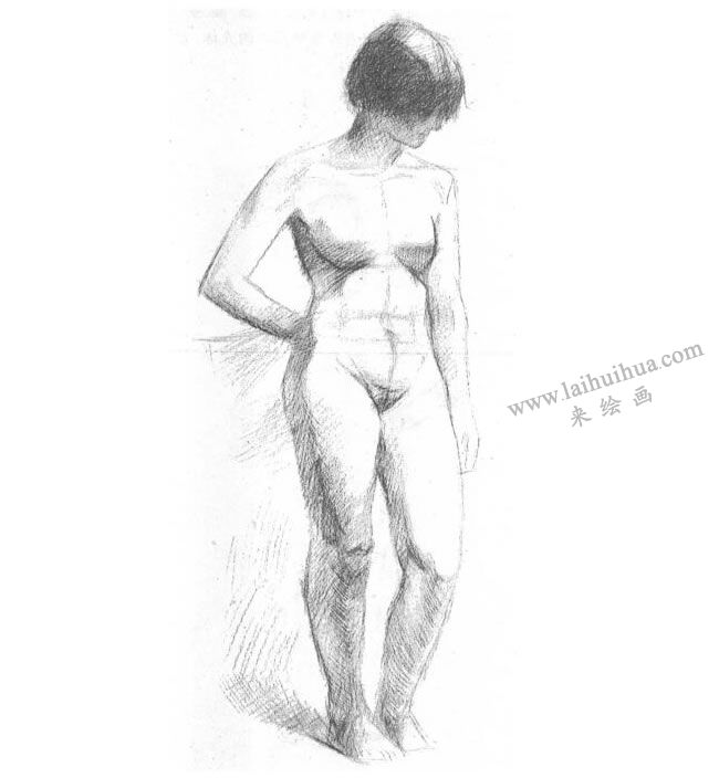 人體素描寫生技法步驟03