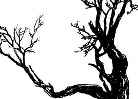 山水畫速寫中樹的造型