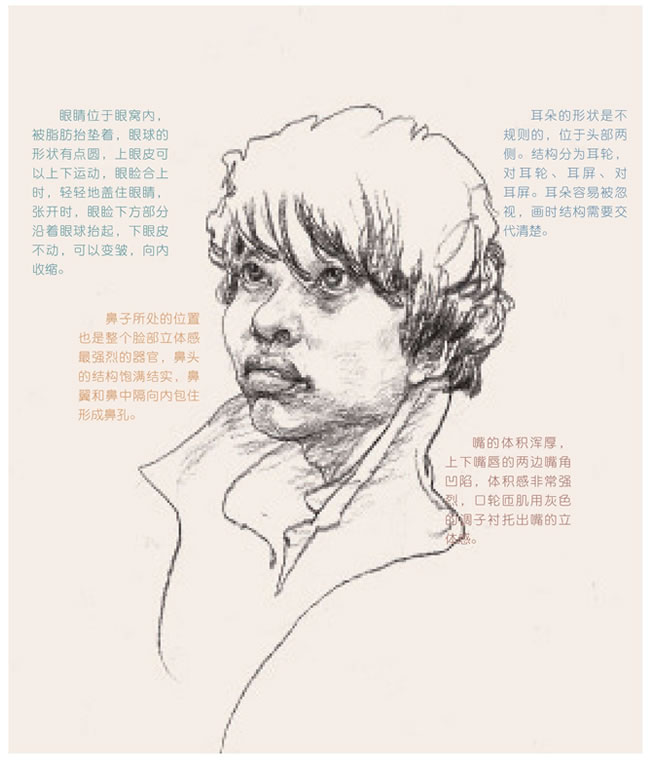 人物速寫(xiě)中的頭部