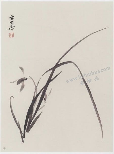 中國畫蘭花與蘭葉組合畫法步驟03