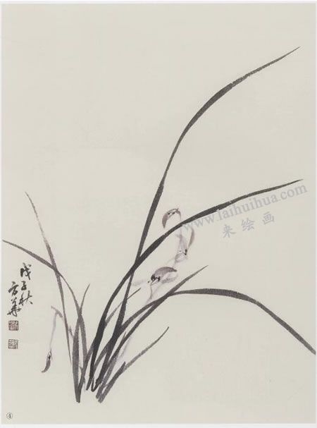 國(guó)畫(huà)蘭花的范畫(huà)畫(huà)法寫(xiě)生步驟04
