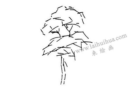 速寫(xiě)畫(huà)樹(shù)步驟01