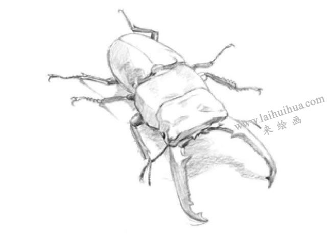 鍬甲素描畫法步驟03