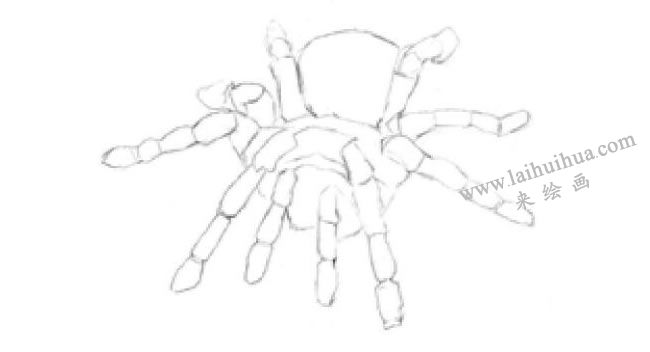 蜘蛛的素描畫法步驟01